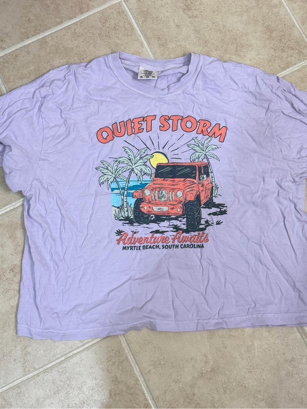 Quiet Storm Lavender Tee size xl